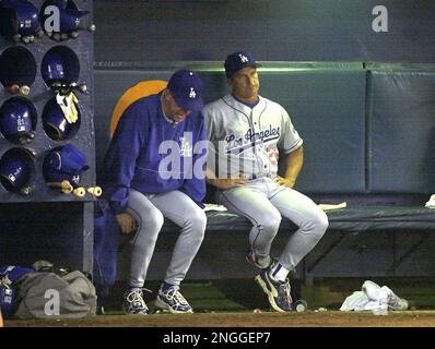 Adrian Beltre of the Los Angeles Dodgers bats during a 2002 MLB season game  at Dodger Stadium, in Los Angeles, California. (Larry Goren/Four Seam Images  via AP Images Stock Photo - Alamy