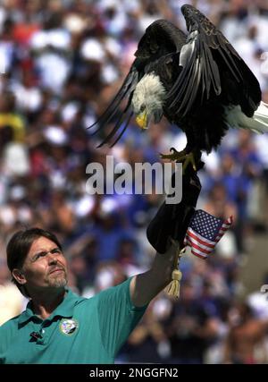 New York Jets vs. Buffalo Bills. NFL match poster. Two american football  players silhouette facing each other on the field. Clubs logo in background  Stock Photo - Alamy