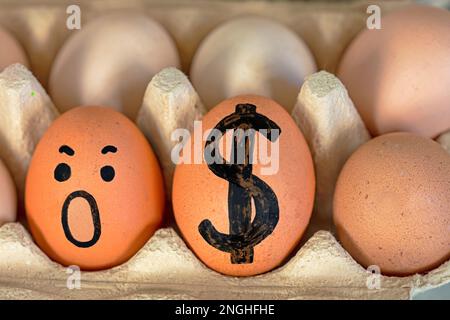 simple brown eggs with a painted dollar and a frightened face in an egg container. Economic crisis, rise in price. horizontal Stock Photo