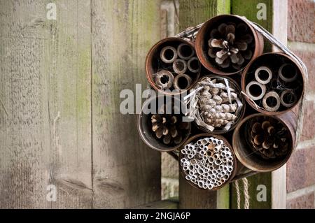 A DIY bug hotel made from upcycled food cans which have rusted in the weather, tied with string hung on a red brick wall Stock Photo