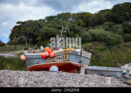 A boat is pulled up on the shingle on the beach in the fishing village of Beer in Devon, England. The boat is the Bess, registered in Falmouth, FH32. Stock Photo