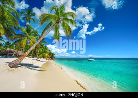 Tropical beach in Punta Cana, Dominican Republic Stock Photo