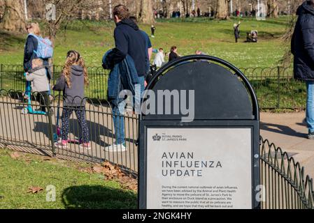 Warning of Avian Influenza in St James's Park in London, informing visitors that the pelicans have been moved for their safety. Bird Flu outbreak Stock Photo