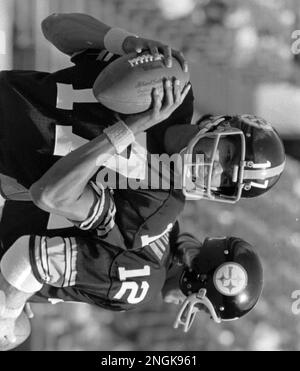 Pittsburgh Steelers quarterbacks Terry Bradshaw (12), Joe Gilliam (17), and  Terry Hanratty (5) are shown in 1975. (AP Photo Stock Photo - Alamy