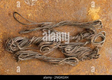 Brown metal copper wire scrap materials recycling of waste from manual wire tearing. Closeup of copper waste in the form of copper wires Stock Photo