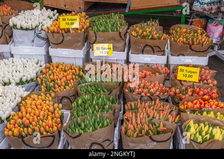 Tulips for sale at the famous bloemenmarkt (flower market) on the Singel Canal, Amsterdam, Netherlands Stock Photo