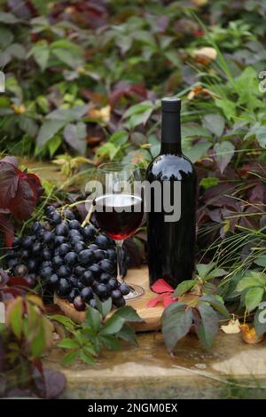 glass of red wine on wooden background with autumn leaves and bottle Stock Photo