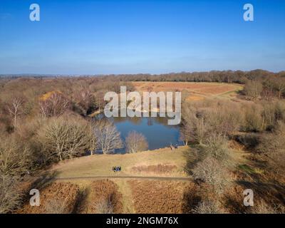 aerial view of the lake in ditchling common country park in east sussex Stock Photo