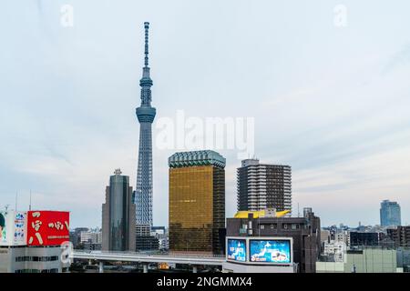 Distant shot of the Skytree tower viewed from Asakusa in Tokyo with the Asahi Beer headquaters, and Sumida Ward Office in the foreground. Blue hour. Stock Photo