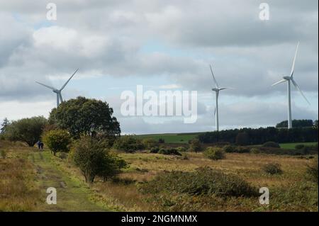 A family walking across heathland with farmland in the distance and distant wind turbines Stock Photo