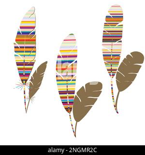 Vector colored bird feathers isolated on the alpha transperant background.  Stylized feathers set., Stock vector