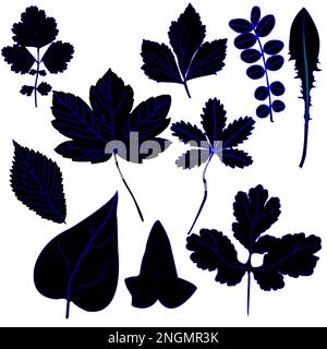 Silhouette of ten leaves with blue lines on white background; vector illustration Stock Vector