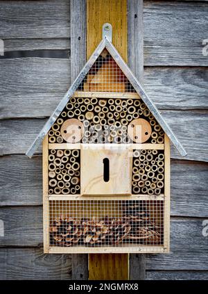 Bug house / insect house in garden on fence Stock Photo