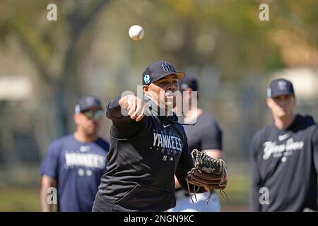 New York Yankees relief pitcher Joba Chamberlain throws a pitch in the  seventh inning against the Toronto Blue Jays at Yankee Stadium in New York  City on August 4, 2010. UPI/John Angelillo