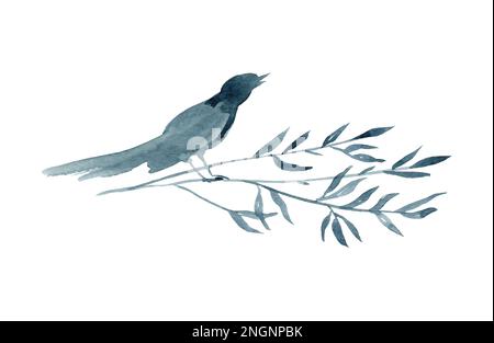 Bird on a branch. Handmade watercolor illustration. Dark silhouette isolated on white background. Minimalism Stock Photo