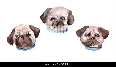 Pug isolated on white background. Watercolor hand drawn illustration. Pets. Emotions. Stock Photo