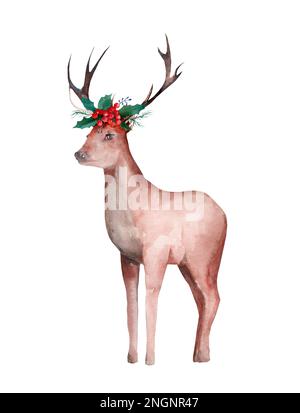 Watercolor illustration of deer with winter plants isolated on white background. Realistic animals. Northern beasts. Winter. Holly and Christmas tree. Stock Photo