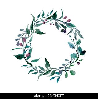 watercolor drawing of a wreath of green branches of eucalyptus and olive tree Stock Photo