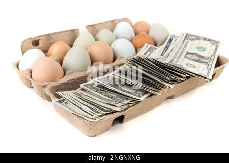 Multicolored farm fresh eggs in a brown egg carton with american money Stock Photo