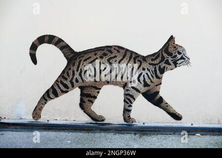 Tabby Cat Graffiti, street art on fire exit door in Bristol Stock Photo