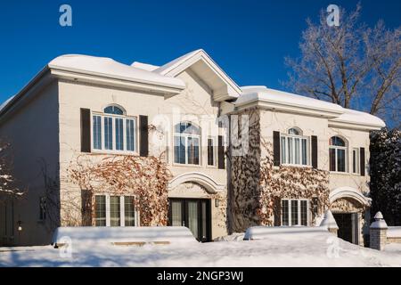 Luxurious white brick with black trim house facade covered with climbing Vitis vines in winter. Stock Photo