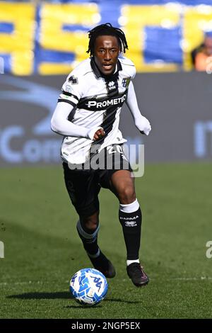 Parma, Italy. 18th Feb, 2023. Tardini Stadium, 18.02.23 Woyo Coulibaly (26  Parma) and Cedric Gondo (15 Ascoli) during the Serie B match between Parma  and Ascoli at Tardini Stadium in Parma, Italia