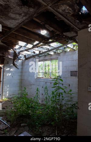 Mid Wales Counties Mental Hospital Stock Photo