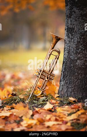 golden shiny old trumpet standing near aged tree trunk covered with lichen in autumn park among yellow and brown fallen leaves Stock Photo