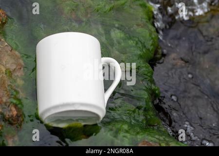 White mug, mock up, empty space for artwork, text, standing on stone, outdoors, green grass, trees, sky in the background, soft sunlight, nature Stock Photo