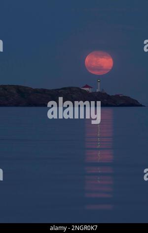The full moon rising behind the lighthouse at Trial Islands, off Victoria, BC, Canada. The lighthouse's light is reflecting along with the moon in the Stock Photo