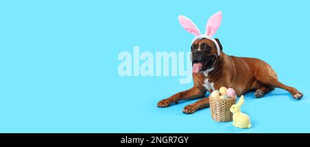 Boxer dog with bunny ears and Easter eggs on light blue background with space for text Stock Photo