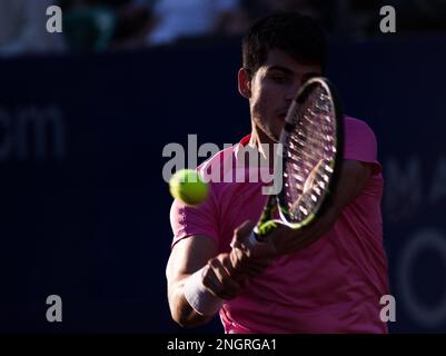 Buenos Aires, Federal Capital, Argentina. 18th Feb, 2023. Carlos Alcaraz, current number 2 in the ATP ranking behind Serbian Novak Djokovic and top favorite to win the title, qualified for the 2023 Argentina Open final after beating his compatriot Bernabé Zapata Miralles 6-2, 6-2 in the second semifinal game of the day. ''The Wonder Boy'' will face the British Cameron Norrie this Sunday. (Credit Image: © Roberto Almeida Aveledo/ZUMA Press Wire) EDITORIAL USAGE ONLY! Not for Commercial USAGE! Stock Photo