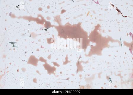 Dirty pink water stains on a white background, liquid paint as a background, painting, watercolor Stock Photo
