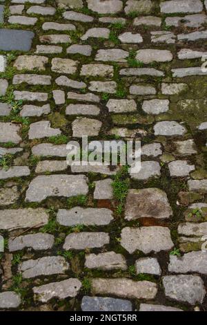 vintage stone texture footpath with green grass Stock Photo