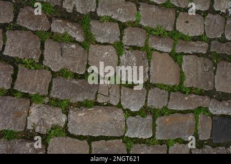 close-up view of Old stone pavement with green grass Stock Photo