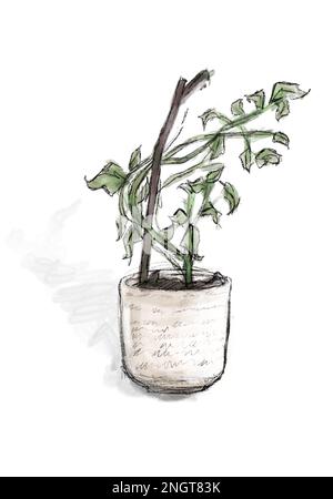 A digital sketch of a plant in a pot Stock Vector