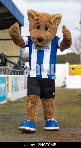 Chester, Cheshire, England 18th February 2023. Chester mascot Lupus, during Chester Football club V Boston United Football Club , in the Vanarama National League North (Credit Image: ©Cody Froggatt/Alamy Live News) Stock Photo