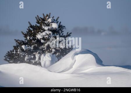 Prairie Winter Scenes rural Saskatchewan Canada Frost Stock Photo