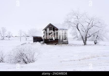 Prairie Winter Scenes rural Saskatchewan Canada Frost Stock Photo