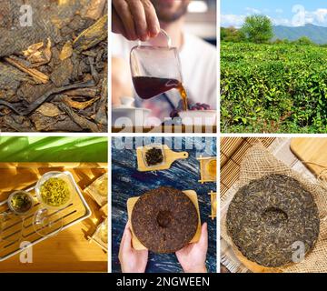 Collage of different types of dried tea leaves. Collage Tea, close up Stock Photo