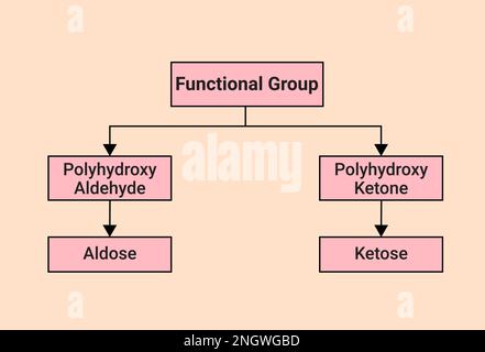 various type of Functional Group Stock Vector