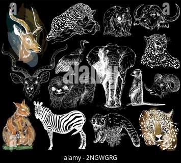Big set of hand drawn sketch style animals isolated on black background. Vector illustration. Stock Vector