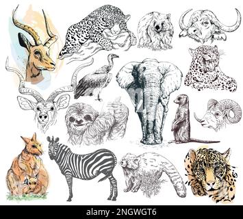Big set of hand drawn sketch style animals isolated on white background. Vector illustration. Stock Vector