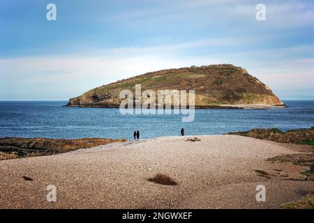 Puffin Island (Ynys Seiriol in Welsh) is located off Penmon Point, Anglesey, North Wales. It is bird sanctuary for many species of seabirds. Stock Photo