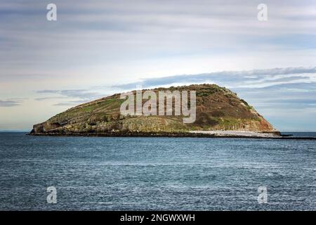 Puffin Island (Ynys Seiriol in Welsh) is located off Penmon Point, Anglesey, North Wales. It is bird sanctuary for many species of seabirds. Stock Photo