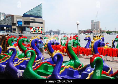 Dragon pedal boats are stored in the Inner Harbor area of Baltimore, Maryland Stock Photo