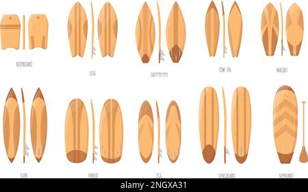 Set of surfboards. Classic types of surfboards with a pattern. Vector ...