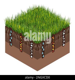 Lawn care - aeration and scarification. Labels by stage-during. Intake of substances-water, oxygen, and nutrients to feed the grass and soil. Vector Stock Vector