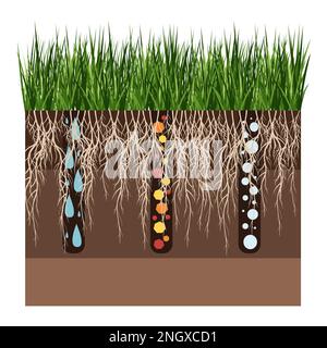 Lawn care - aeration and scarification. Labels by stage-after. Intake of substances-water, oxygen, and nutrients to feed the grass and soil. Vector Stock Vector