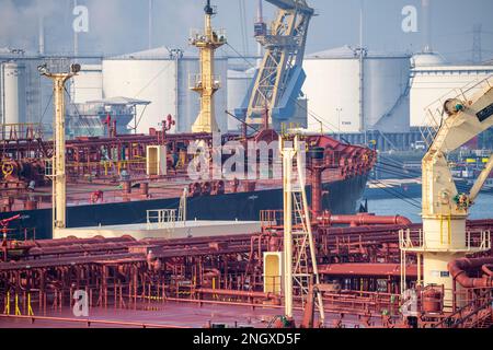 The crude oil tanker HOJO, in the seaport of Rotterdam, in the Petroleumhaven, Europoort, deck structures, pipelines, Rotterdam, Netherlands, Stock Photo